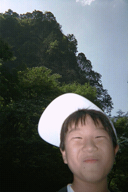 ʐ^