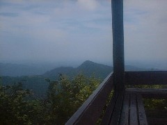 W]䂩